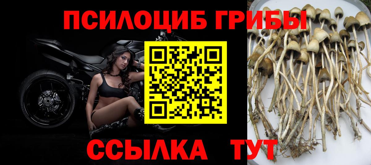 Галлюциногенные грибы Magic Shrooms Новосибирск
