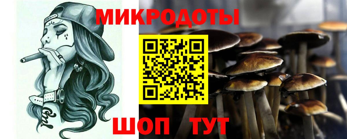 Новосибирск  Псилоцибиновые грибы ЛСД  купить  сайты  Галлюциногенные грибы Magic Shrooms  Вход с VPN 